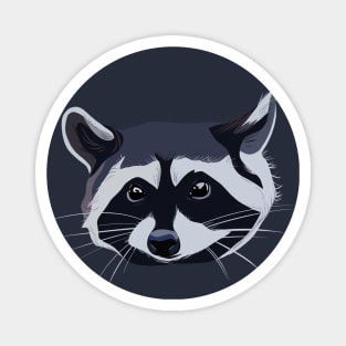 Raccon Magnet